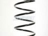 Ford Focus 1998-2004 ПРУЖИНА ПРУЖИНА для FORD FOCUS (DAW/DBW/DNW/DFW) Сторон...