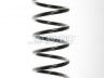 Ford Focus 1998-2004 ПРУЖИНА ПРУЖИНА для FORD FOCUS (DAW/DBW/DNW/DFW) Местоп...