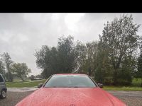 ESI GRILL HOOD RADIAATORI MERCEDES